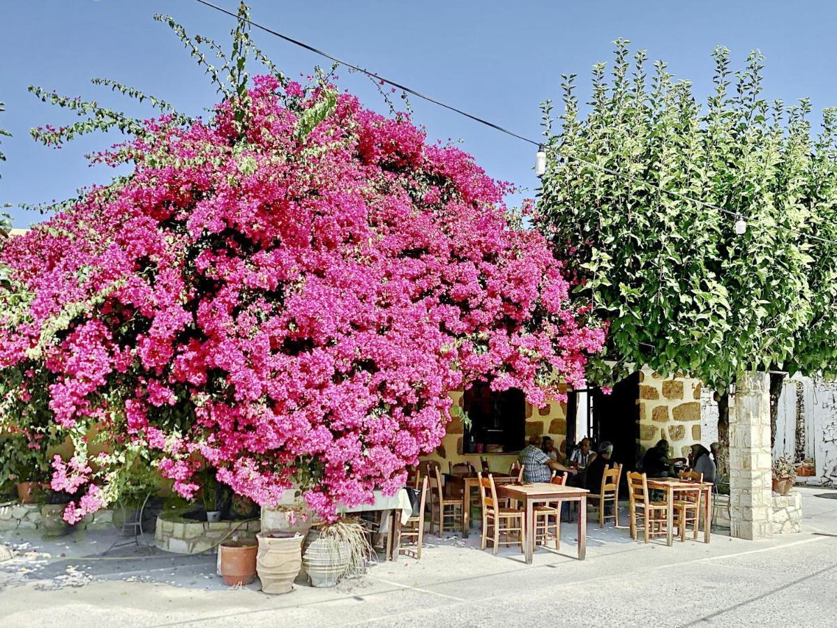 Villa Artemis Vryses Crete Alikampos 외부 사진